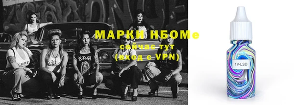 дурь Ельня