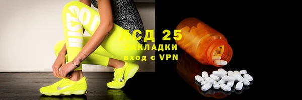 дурь Ельня