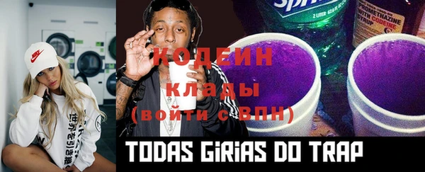 дурь Ельня