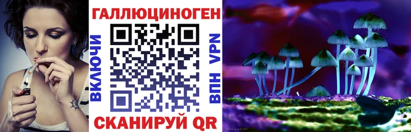 Псилоцибиновые грибы GOLDEN TEACHER  что такое наркотик  ссылка на мегу tor  Рубцовск 